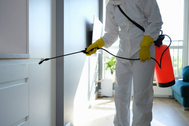 Best HVAC Mold Remediation in Janesville, MN