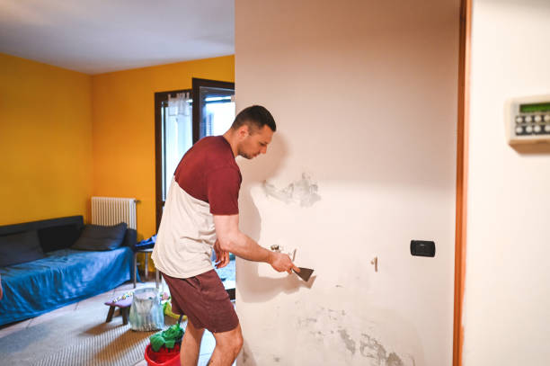 Best Kitchen Mold Remediation in Janesville, MN